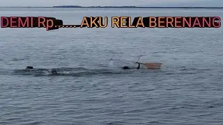 SEMUA LAYANG PESERTA DINYATAKAN GUGUR OLEH PANITIA 