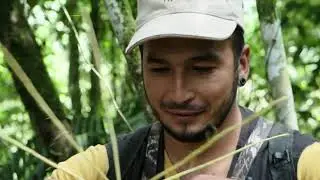 Expedición 