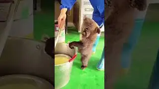 Милашка