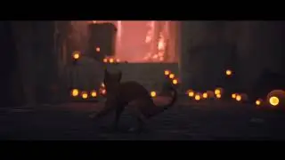 STRAY LONGPLAY