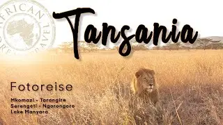 Tansania: Fotosafari durch den Norden mit den Nationalparks Tarangire, Serengeti und Ngorongoro