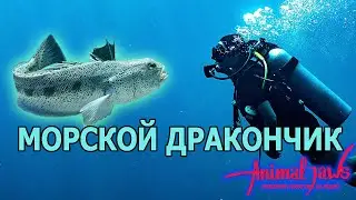 Greater weever or fish capable of killing a human