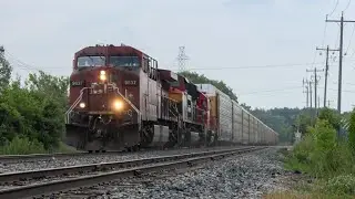 CP 9837 leads CPKC 137 Westbound at Dobbie Dr, in Killean, Ontario