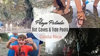 The Costa Rica Experiment Bat Caves & Tide Pools | Nosara Day Camp | International Travel With Kids