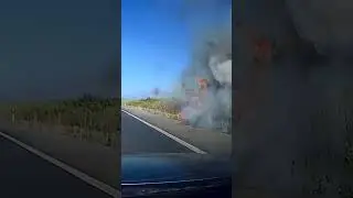 Incendio Granada-Jaen