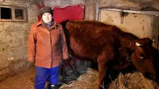Обращение хуторян к В.В. Путину