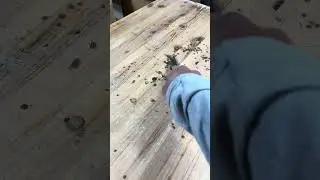 Glue pop. Always wax your work surfaces. #woodworking #asmr #diy #woodwork #workshop #tools