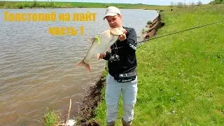 Толстолоб на лайт часть 1
