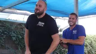 RSS - אילוף כלבים
