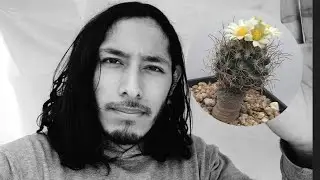 ¡HORMIGAS en nuestro CACTUS!