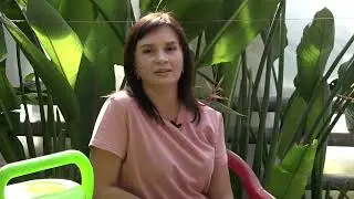 Что нужно для отличного урожая картофеля?
