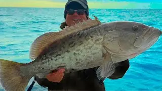 This Is Why You Use This For Bait (Saltwater Fishing Florida)