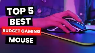 Top 5: Best Budget Gaming Mouse (2025)