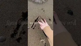 Абхазия2023. Видео на канале🤍