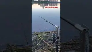 Самоподсекающая удочка дно! Лучше крокодил берите больше пользы!