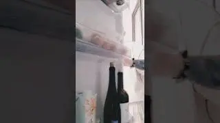 нож Белка Бруталика - помогатор