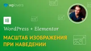 Scale on hover effect in Elementor page builder for WordPress