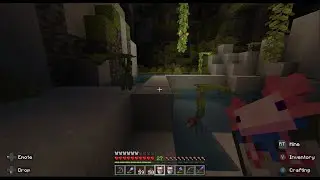 I Found A Lush Cave Under My House, So I Created The Best Axolotl Enclosure In Minecraft History!