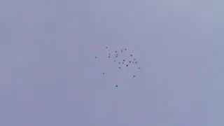 Пермские голуби в небе.