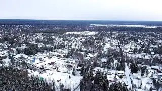 Паллёт над лесом