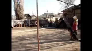 ОКД