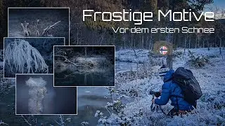 Landschaft / Makro Fotografie - Frostige Motive