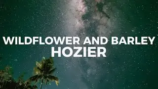 Hozier - Wildflower and Barley (Lyrics) you're too sweet for me