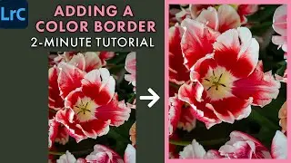 Adobe Lightroom Classic Editing Tricks: How to Add Colored Borders