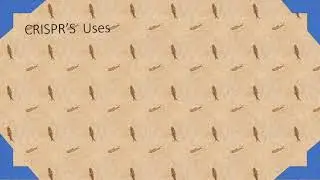 CRISPR