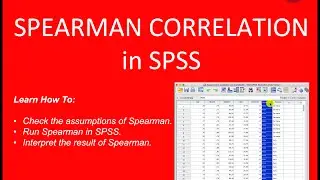 Spearman Correlation SPSS Step-By-Step Guide