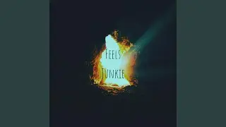 Feels Junkie