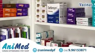 Animed - Clínica Veterinária
