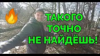 Невероятная находка с открытия поискового сезона 2023 года!