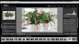 how to install Lightroom 5 Tutorial for Beginners & First time Users