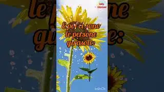 🌻Persone luminose🌞 - Giorgia Stella - short n.17