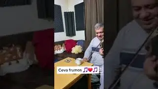 marikanu és zenekara 👌🎼🎹🎸🎻