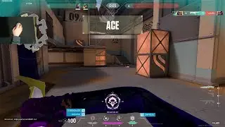 using asuna settings and skins to get insane aim