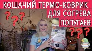 КАК СОГРЕТЬ ПОПУГАЯ ЗИМОЙ | КОШАЧИЙ ТЕРМО-КОВРИК