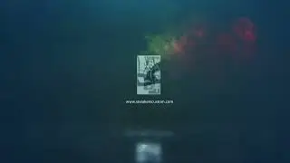 Motion graphics logo
