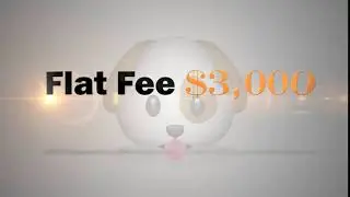 After Effect Intro logo