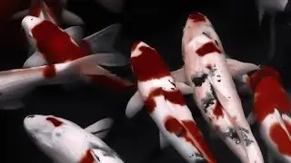 0000000001 First