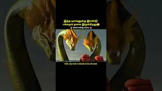 This dragon has two heads#shorts|Spy kids 2|#short