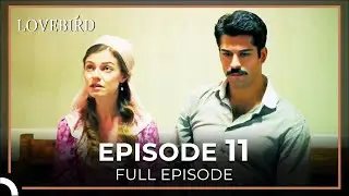 Lovebird Episode 11