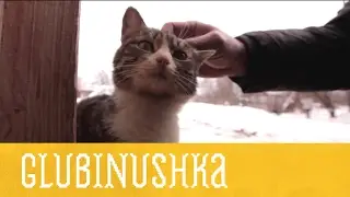 Глубинушка. День 1. Гусли | Иностранец в России | Моя Планета