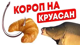 CROISSANT FISHING!!! I FISH CARP