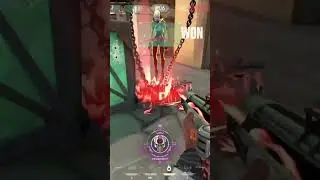 What an aggressive Phoenix looks like 🔥