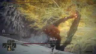Why does this keep happening?