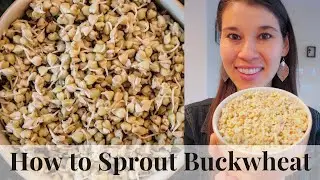 How to Sprout Buckwheat - Simple & Easy!