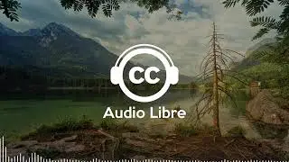 Musique Gratuite Libre de Droit Dynamique Joyeuse Guitare Rock  Letter Box   Your Voice Is American
