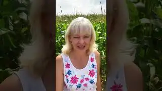 Проект для простых людей